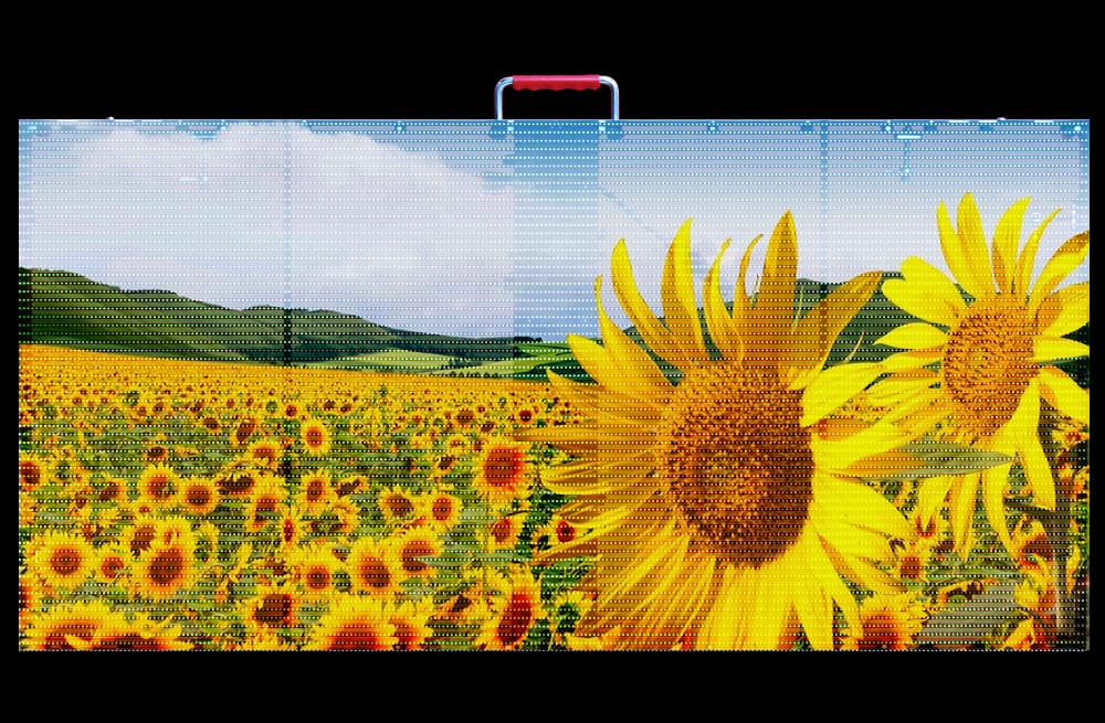 Transparent 01